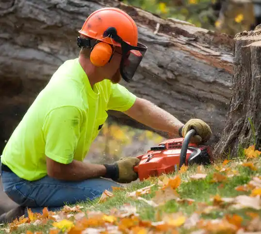 tree services Morganfield